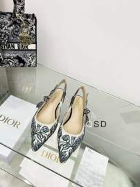 Picture of Dior Shoes _SKUDiorsz33-44SD01123388